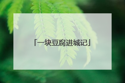 一块豆腐进城记