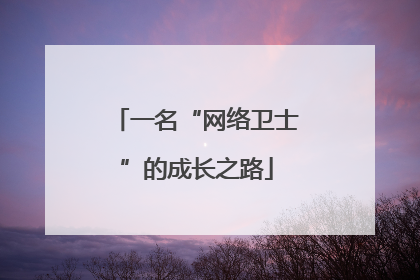 一名“网络卫士”的成长之路