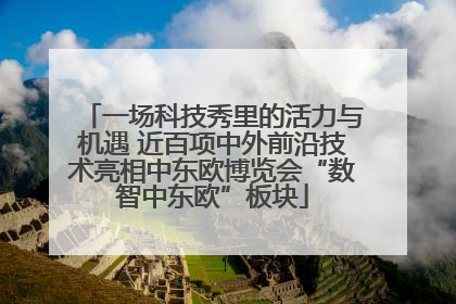 一场科技秀里的活力与机遇 近百项中外前沿技术亮相中东欧博览会“数智中东欧”板块