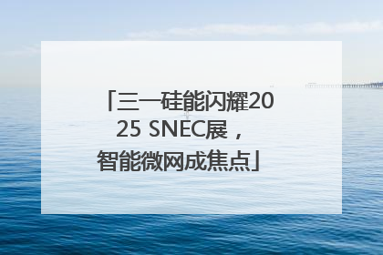 三一硅能闪耀2025 SNEC展，智能微网成焦点