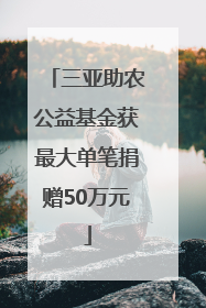 三亚助农公益基金获最大单笔捐赠50万元