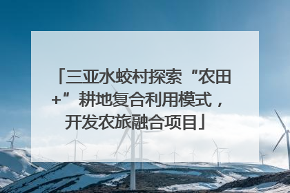 三亚水蛟村探索“农田+”耕地复合利用模式，开发农旅融合项目