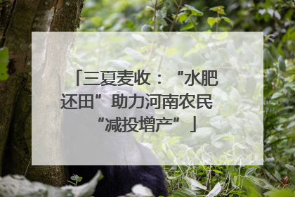 三夏麦收：“水肥还田”助力河南农民“减投增产”
