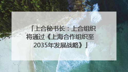上合秘书长：上合组织将通过《上海合作组织至2035年发展战略》