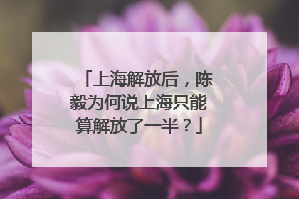 上海解放后，陈毅为何说上海只能算解放了一半？