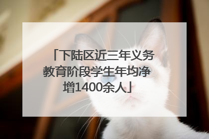 下陆区近三年义务教育阶段学生年均净增1400余人