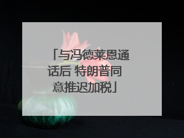 与冯德莱恩通话后 特朗普同意推迟加税