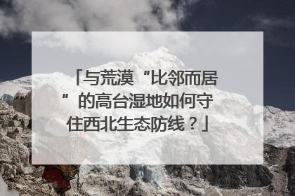 与荒漠“比邻而居”的高台湿地如何守住西北生态防线？