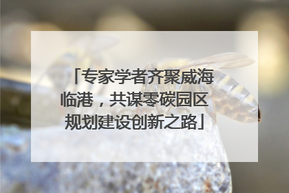 专家学者齐聚威海临港，共谋零碳园区规划建设创新之路