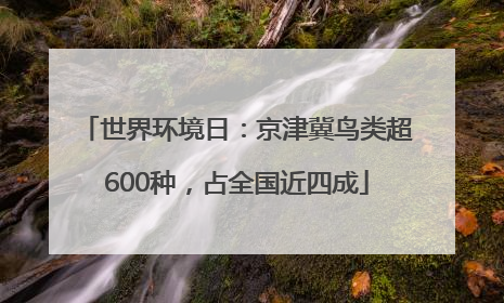 世界环境日：京津冀鸟类超600种，占全国近四成