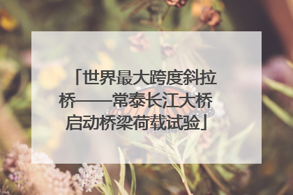 世界最大跨度斜拉桥——常泰长江大桥启动桥梁荷载试验