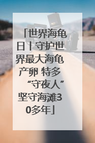 世界海龟日丨守护世界最大海龟产卵 特多“守夜人”坚守海滩30多年