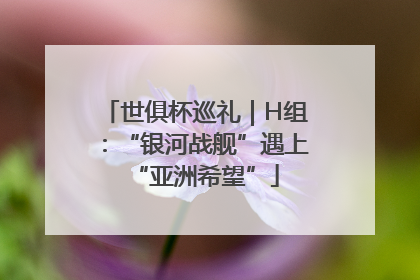 世俱杯巡礼｜H组：“银河战舰”遇上“亚洲希望”