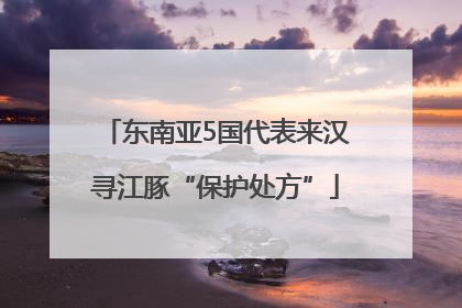 东南亚5国代表来汉寻江豚“保护处方”