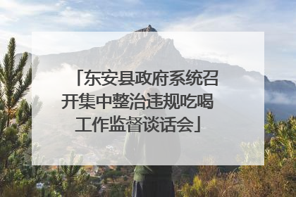 东安县政府系统召开集中整治违规吃喝工作监督谈话会