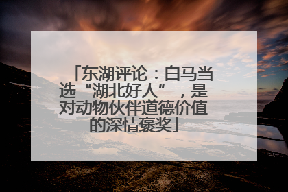 东湖评论：白马当选“湖北好人”，是对动物伙伴道德价值的深情褒奖