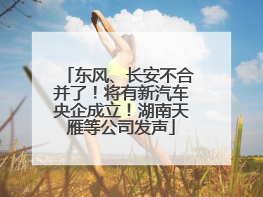 东风、长安不合并了！将有新汽车央企成立！湖南天雁等公司发声