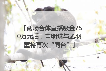 两场合体直播吸金750万元后，董明珠与孟羽童将再次“同台”