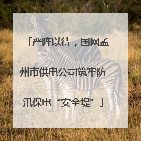严阵以待，国网孟州市供电公司筑牢防汛保电“安全堤”