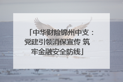 中华财险锦州中支：党建引领消保宣传 筑牢金融安全防线