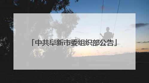 中共阜新市委组织部公告