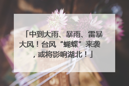 中到大雨、暴雨、雷暴大风！台风“蝴蝶”来袭，或将影响湖北！