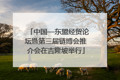 中国—东盟经贸论坛暨第三届链博会推介会在吉隆坡举行