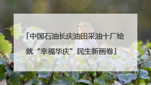 中国石油长庆油田采油十厂绘就“幸福华庆”民生新画卷