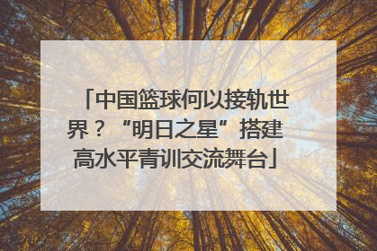 中国篮球何以接轨世界？“明日之星”搭建高水平青训交流舞台