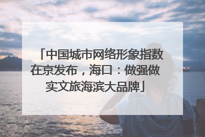 中国城市网络形象指数在京发布，海口：做强做实文旅海滨大品牌