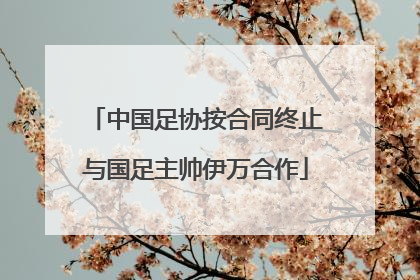中国足协按合同终止与国足主帅伊万合作