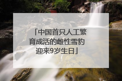 中国首只人工繁育成活的雌性雪豹迎来9岁生日
