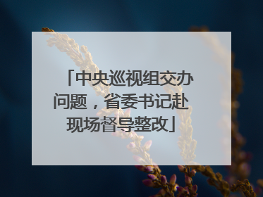 中央巡视组交办问题，省委书记赴现场督导整改