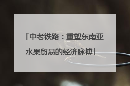 中老铁路：重塑东南亚水果贸易的经济脉搏