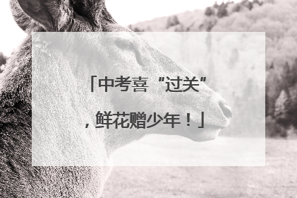 中考喜“过关”，鲜花赠少年！