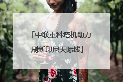 中联重科塔机助力刷新印尼天际线