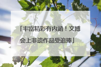 丰富精彩有内涵！文博会上非遗作品受追捧