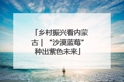 乡村振兴看内蒙古｜“沙漠蓝莓”种出紫色未来