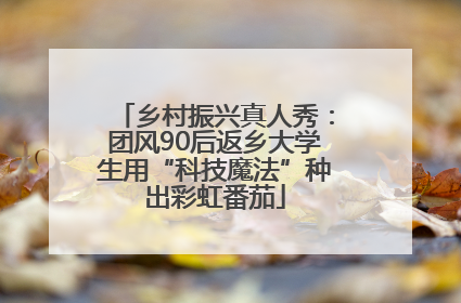 乡村振兴真人秀：团风90后返乡大学生用“科技魔法”种出彩虹番茄
