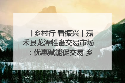 乡村行 看振兴｜嘉禾县龙潭牲畜交易市场：优惠赋能促交易 乡村振兴添动能