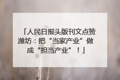 人民日报头版刊文点赞潍坊：把“当家产业”做成“担当产业”！
