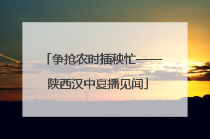 争抢农时插秧忙——陕西汉中夏播见闻