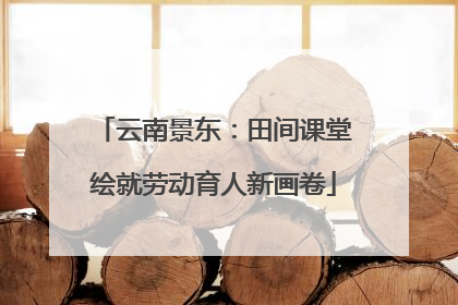 云南景东：田间课堂绘就劳动育人新画卷