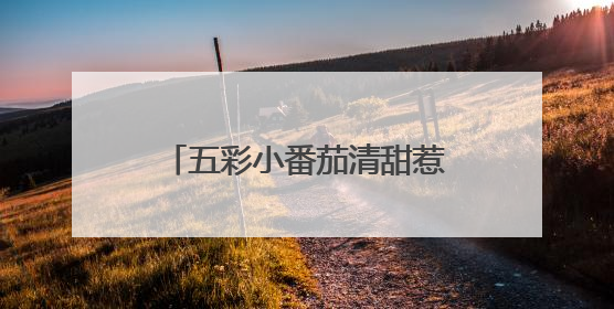 五彩小番茄清甜惹人爱，武汉种博会上好多“尖板眼”