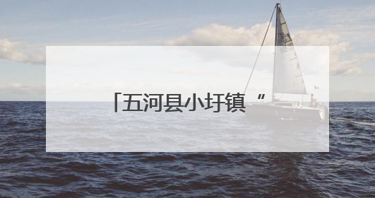 五河县小圩镇“三聚焦”全力推进夏种夏管工作