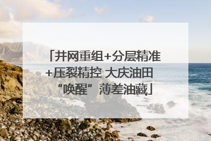 井网重组+分层精准+压裂精控 大庆油田“唤醒”薄差油藏