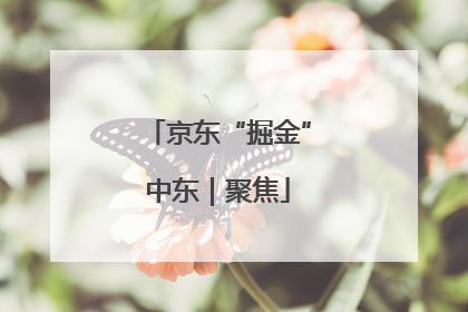 京东“掘金”中东｜聚焦