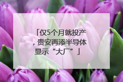 仅5个月就投产，贵安再添半导体显示“大厂”