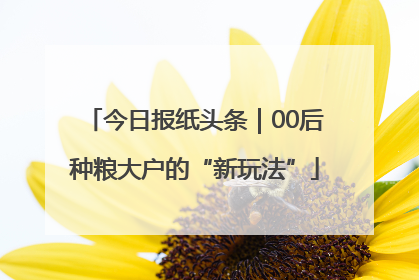 今日报纸头条｜00后种粮大户的“新玩法”