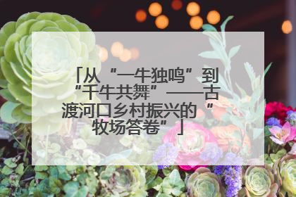 从“一牛独鸣”到“千牛共舞”——古渡河口乡村振兴的“牧场答卷”